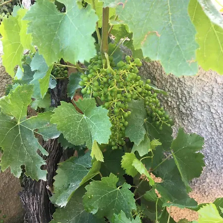 St. Michel 게스트하우스 *